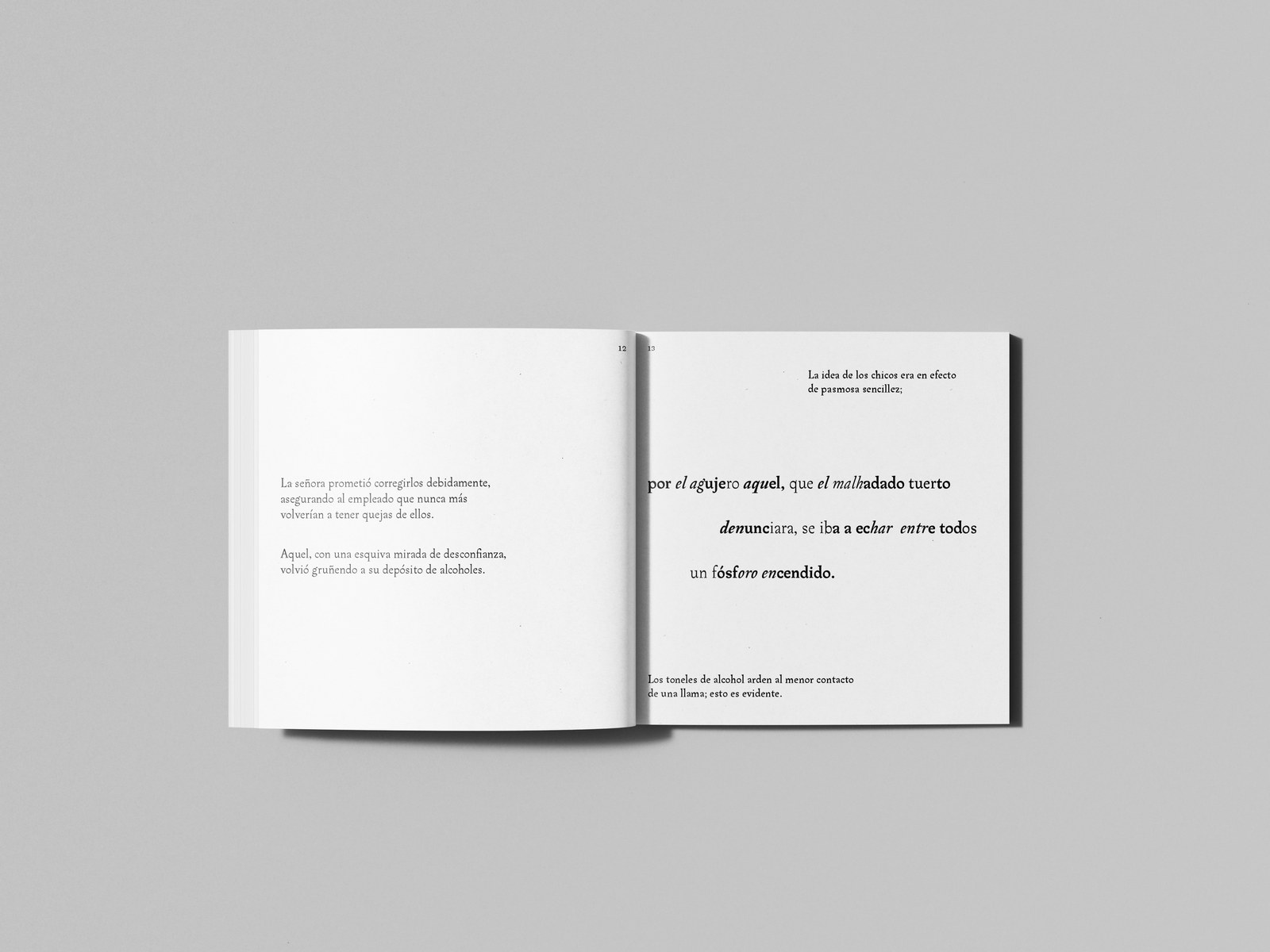El Balde — Illustrated Book — 6